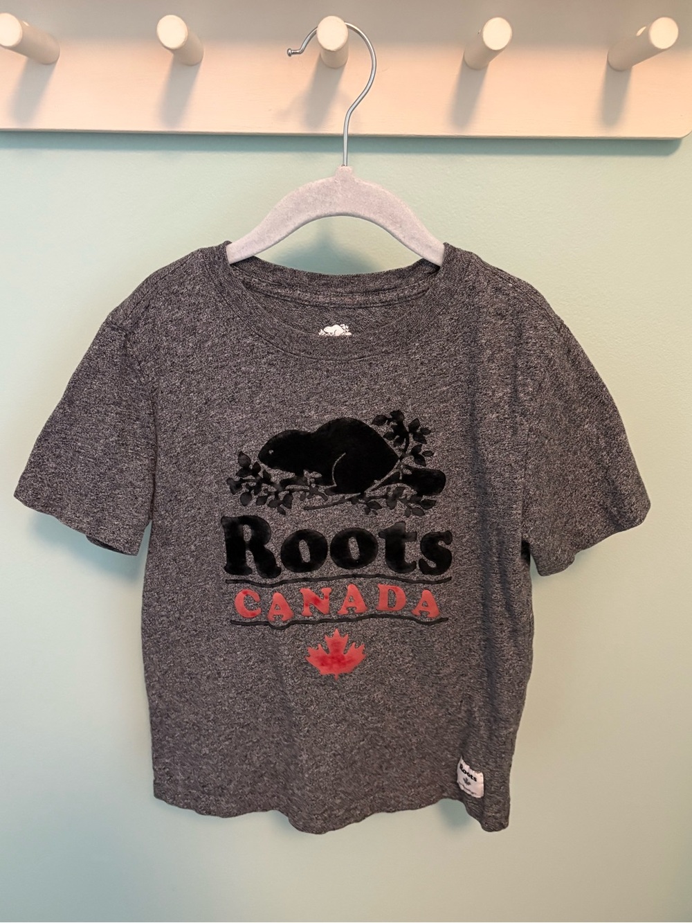 Roots Gray Kids T‑Shirt